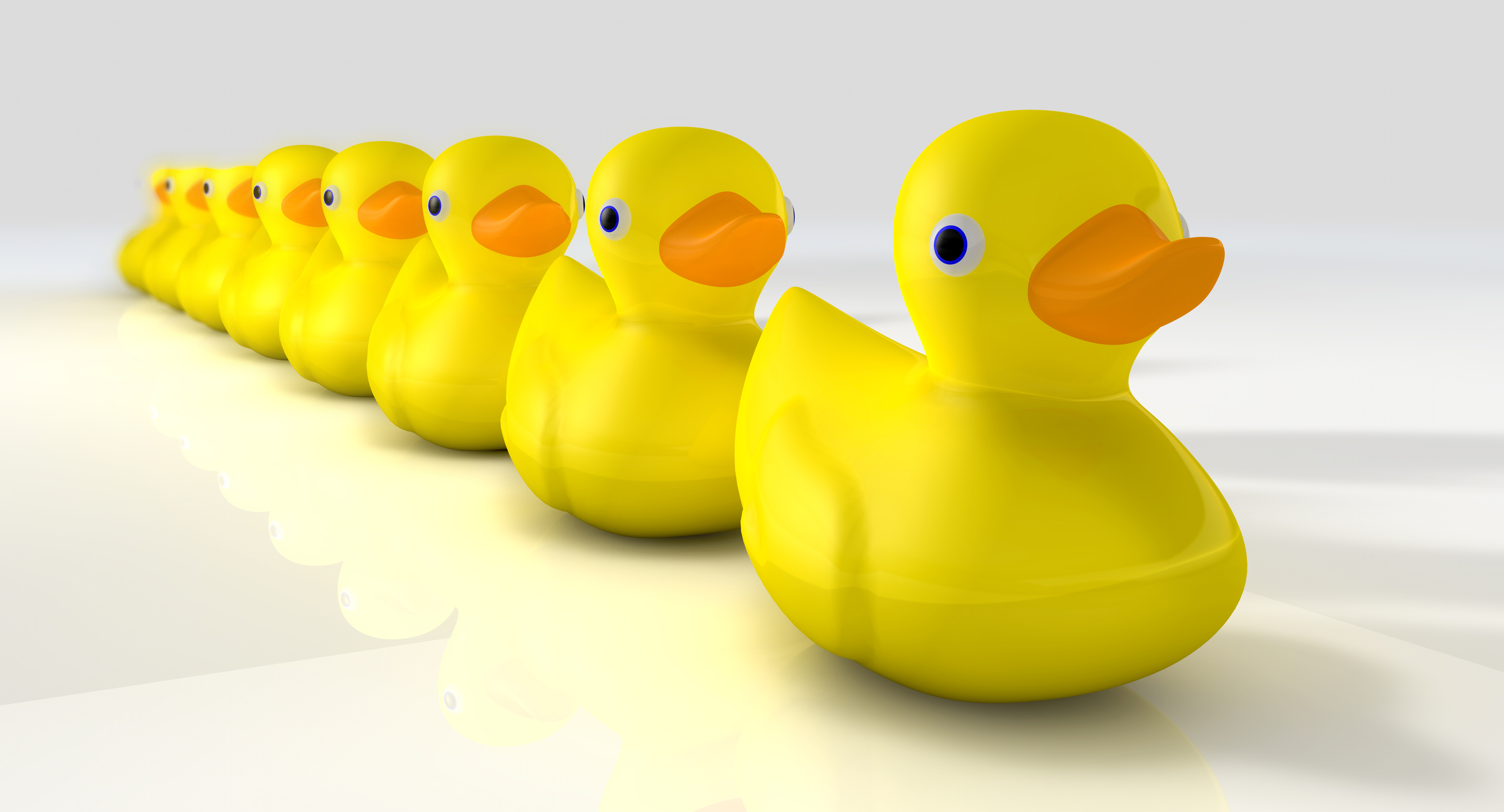 Ducks in a row: College & financial aid application pointers