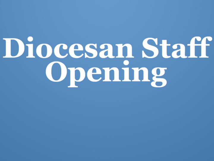 Diocesan staff opening