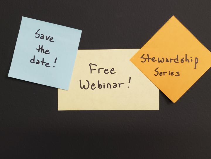 FreeWebinar-StewardshipSeries image