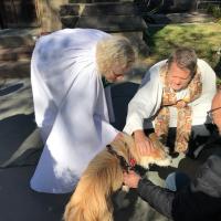 The Rev. Elaine Ellis Thomas of All Saints, Hoboken and the Rev. Dr. Gary LeCroy of Matthew Trinity Lutheran, Hoboken hold a joint Blessing of the Animals. PHOTO COURTESY ALL SAINTS, HOBOKEN