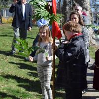 Eco-Palms at Holy Spirit, Verona.