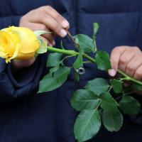 A child holds a rose and a nail at the fourteenth and final station.