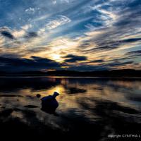 Sunset at Narsaq, Greenland. CYNTHIA L. BLACK PHOTO