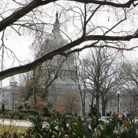 WASHINGTON: The Capitol Building. NINA NICHOLSON PHOTO