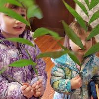 Eco-Palms at Christ Church, Bloomfield/Glen Ridge.