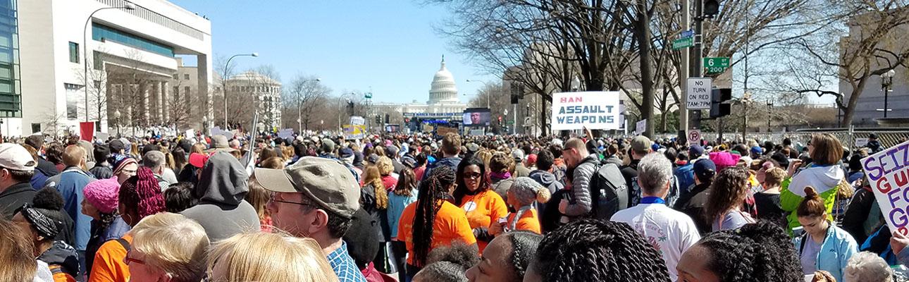 March for Our Lives in Washington, DC. NINA NICHOLSON PHOTO