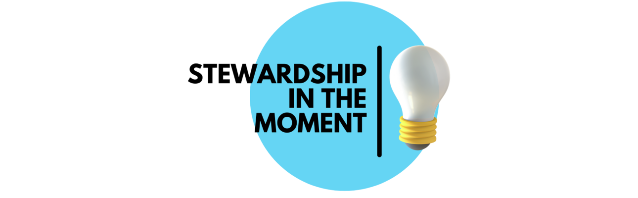 Stewardship in the Moment