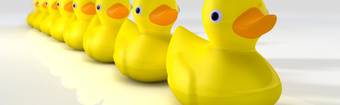 Ducks in a row: College & financial aid application pointers