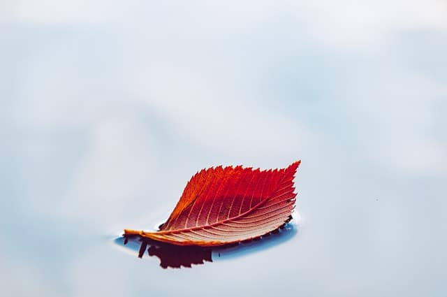 Preparing for Fall