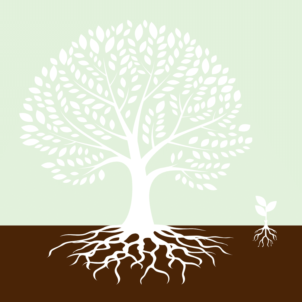 Seasons of Generosity